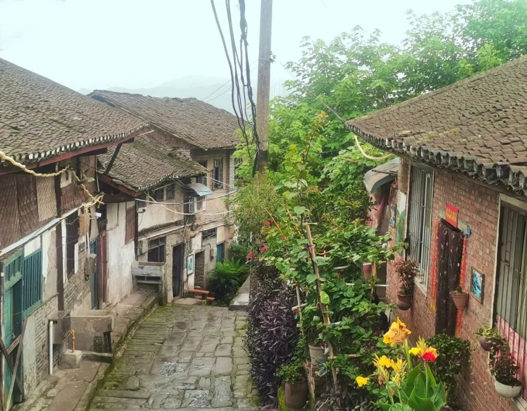 重庆长寿周围赏花旅游景点,重庆长寿旅游景点攻略