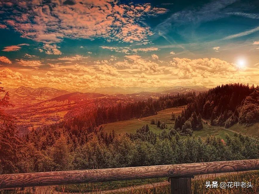 钱都消费到哪里了,钱都去哪了利润榜