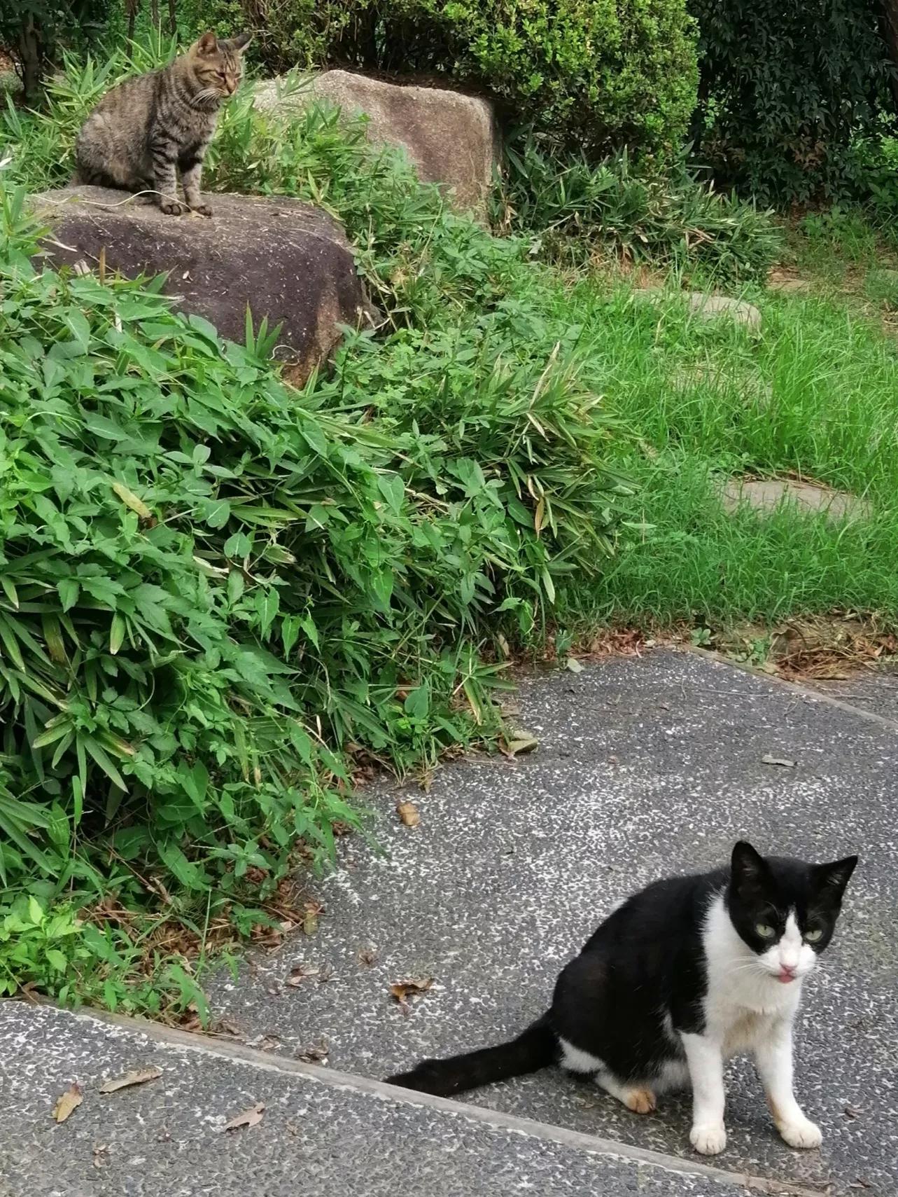 东园好玩的景点推荐,东园旅游景点推荐