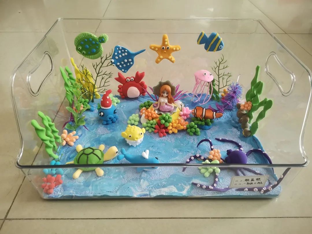 城阳区第二实验小学第六届科普创作大赛——成果展示（三）