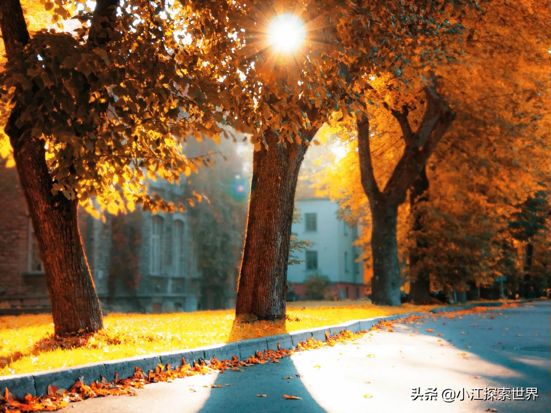 为什么我总是不快乐而且很孤单,为什么我会过得不快乐