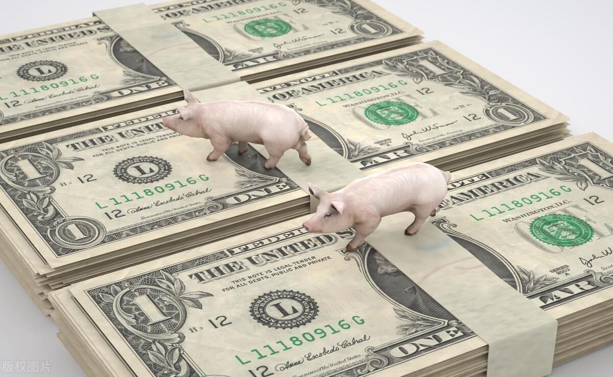 为什么国外生蚝那么贵,进口的生蚝价格