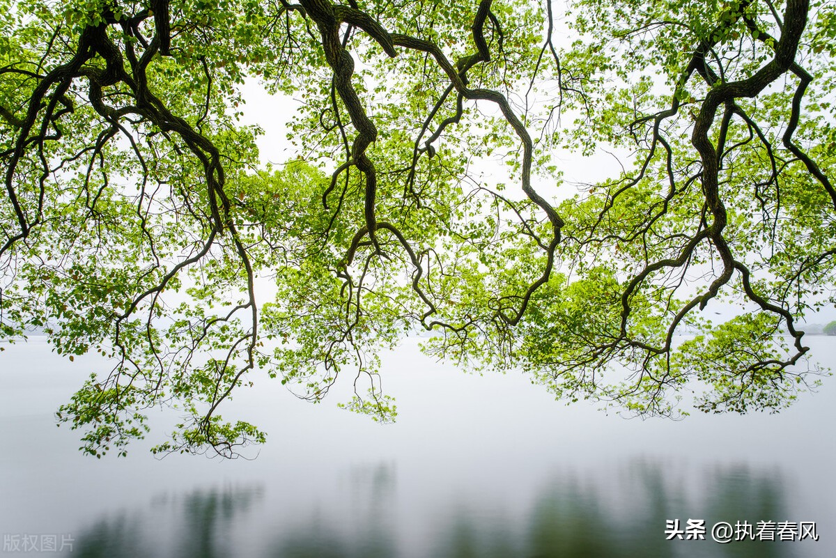 欧阳修咏颍州西湖十首采桑子,采桑子欧阳修群芳过后西湖好翻译