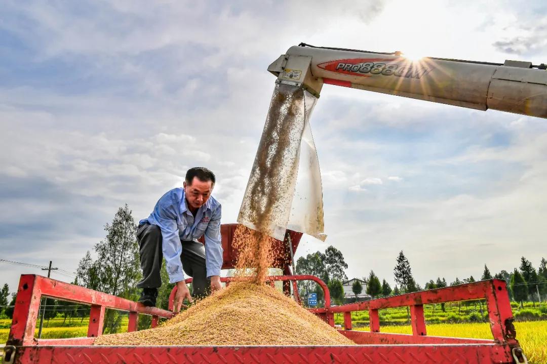 四川省创建2024省级百强中心镇,四川百强中心镇广安花桥