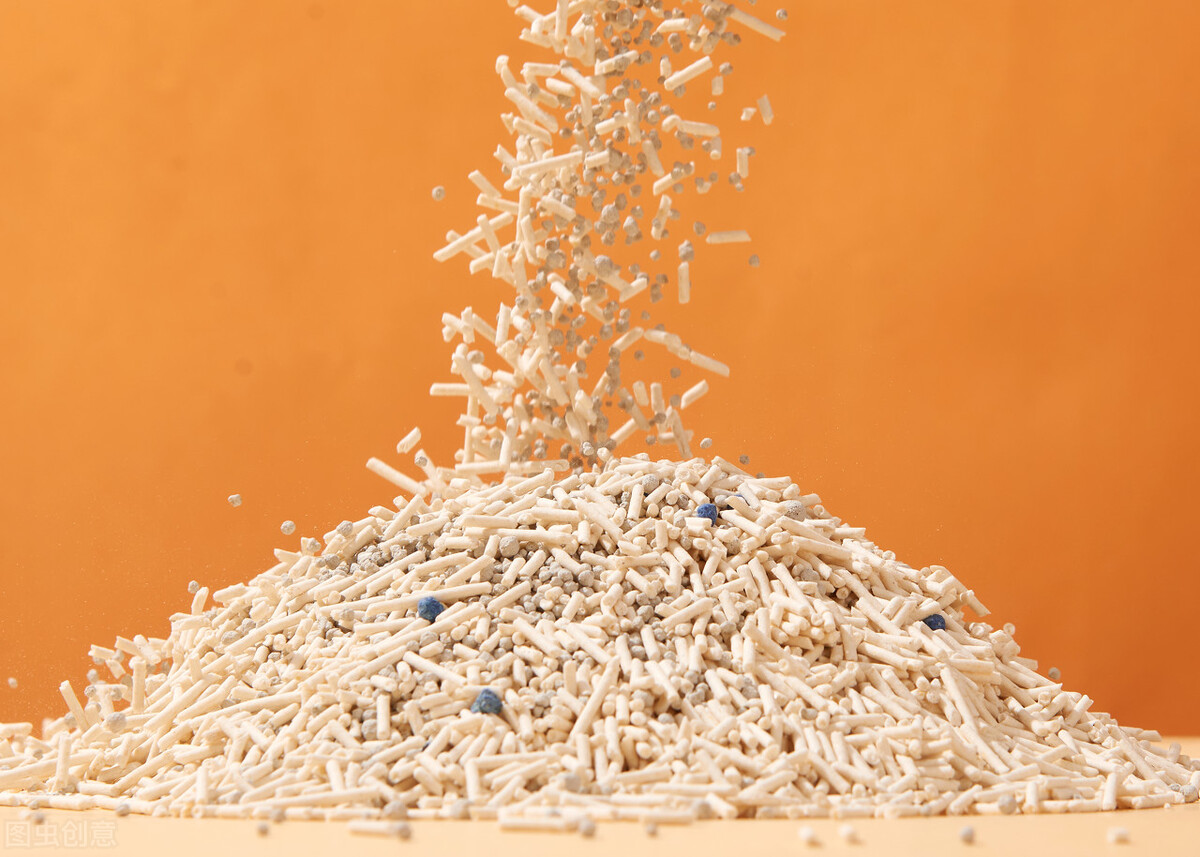 猫咪在床上拉屎然后被打了,猫咪为什么会在床上拉屎尿尿