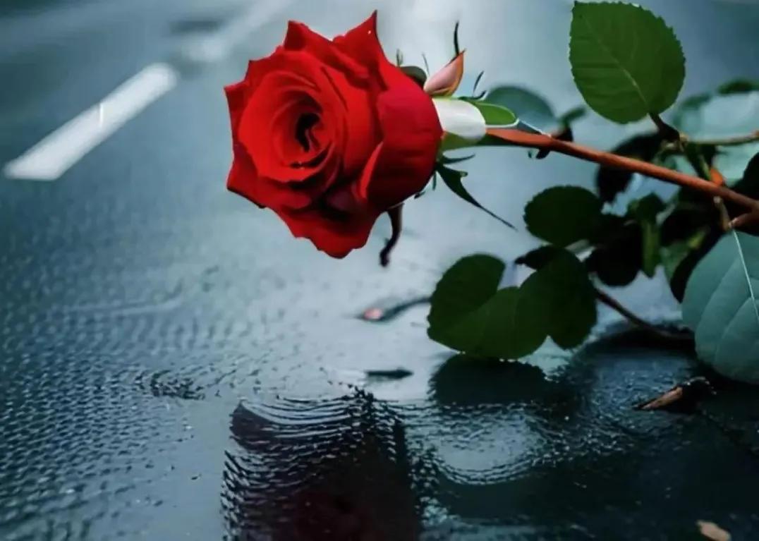 爱一个人容易难的是一直爱一个人,爱一个人容易真正懂一个人很难