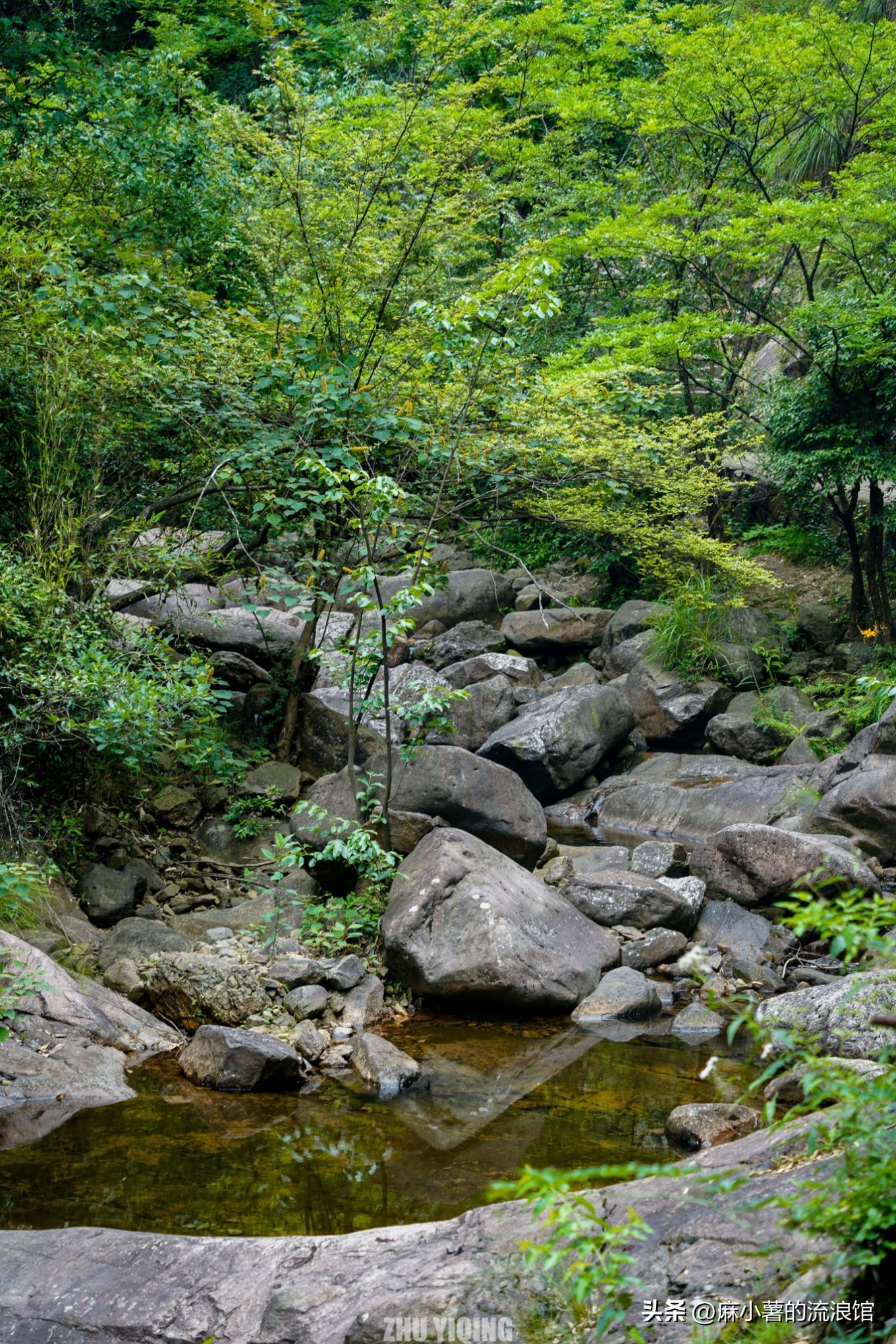 杭州桐庐大奇山二日游,杭州避暑胜地一日游