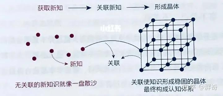 如何突破低效成长的“怪圈”，改变空虚内卷、低效麻木的状态？