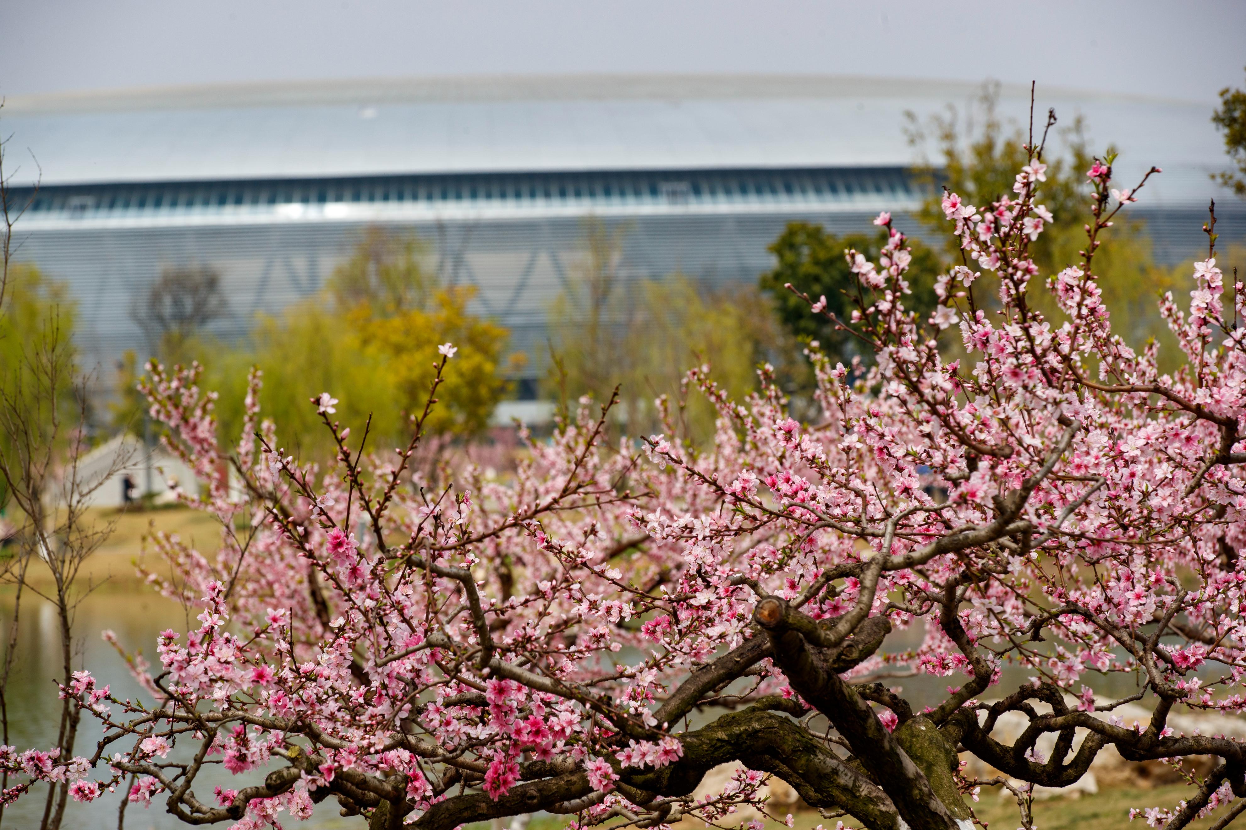 春季过敏是身体哪里的毛病,春季过敏是鼻炎还是花粉症