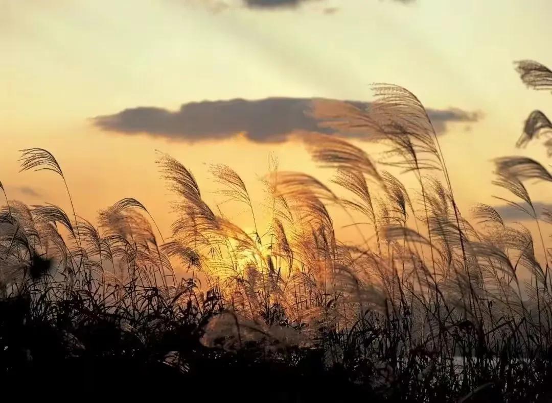 故事不长不难讲脸红相遇眼红收场,脸红相遇眼红散场故事不长也不难