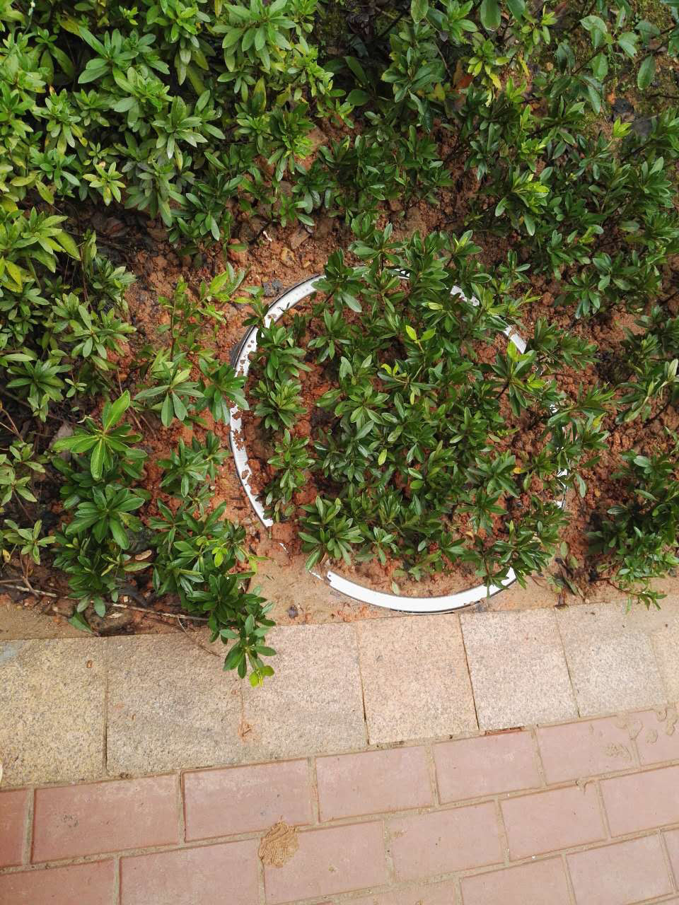 脚下那些隐藏的小惊喜，井盖也可以很美