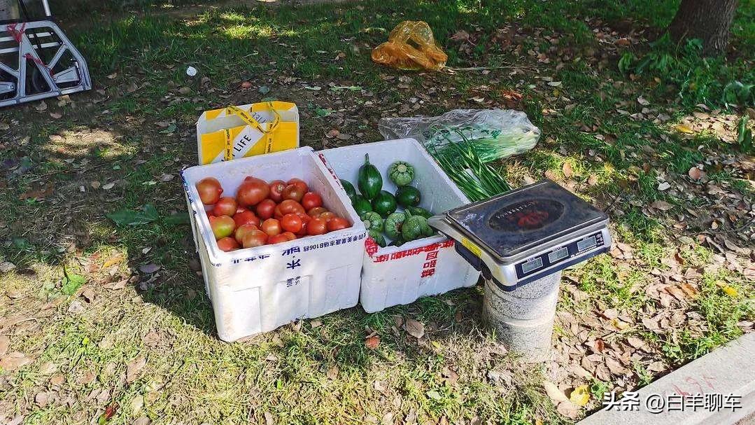 人性太可恶,人性到底有多可恶