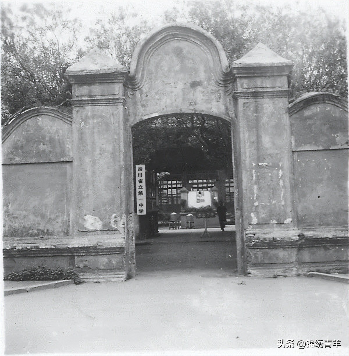 树德协进中学与树德关系,树德协进中学基地班如何