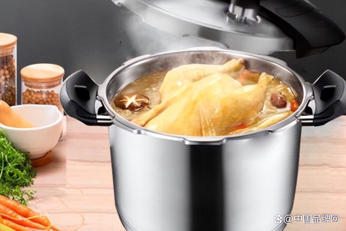 哪个品牌电压力锅性价比高又实惠,哪个品牌的压力煲质量好