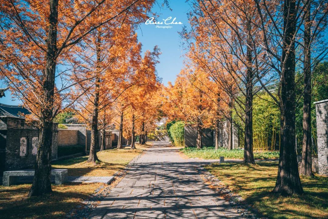 丽江悦榕庄酒店用餐,云南丽江悦榕庄酒店价格