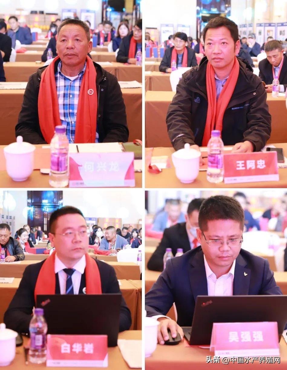 通威10000亿订单,通威股份获千亿订单