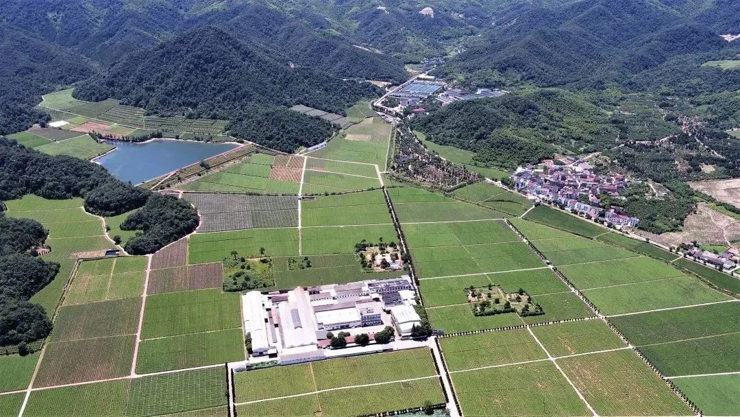 绍兴是最纯正的江南,绍兴江南名都