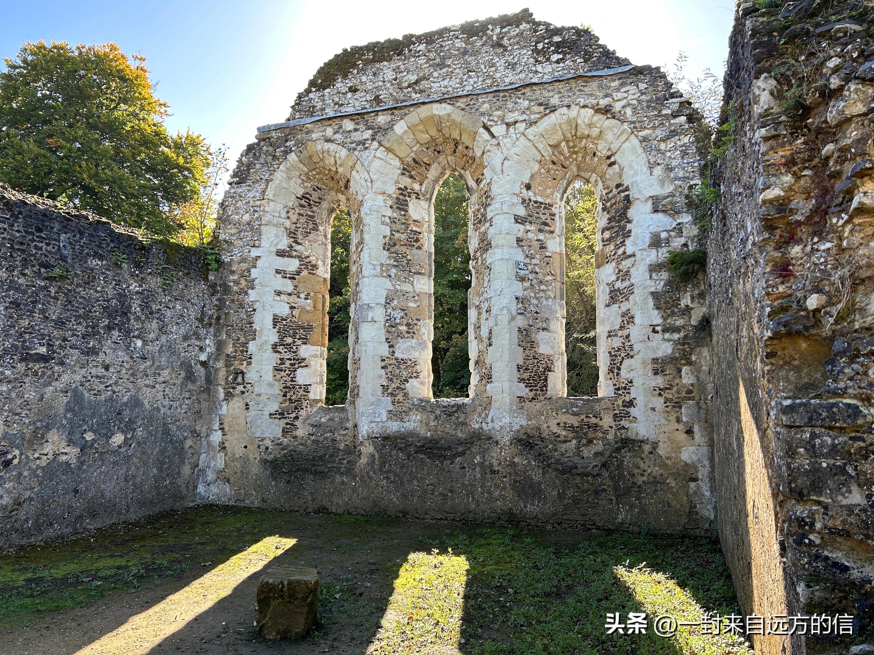 谷歌pixel7a对比三星s23,谷歌pixel7pro