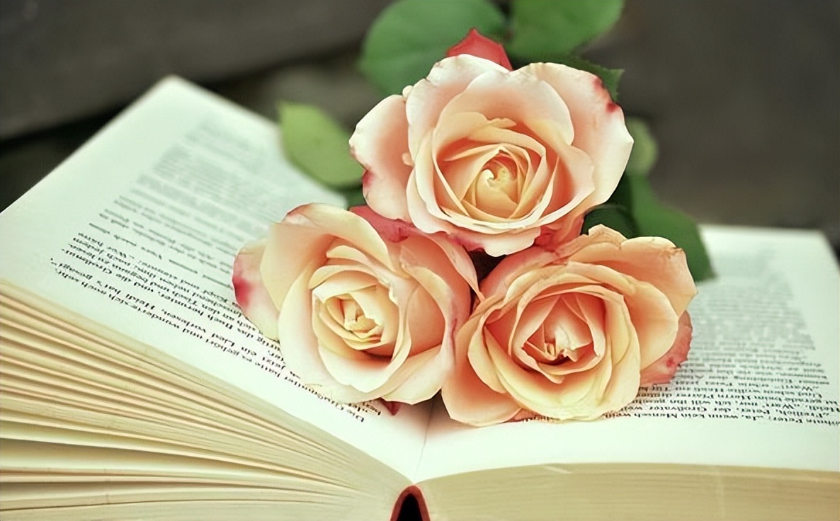 当你感觉事事不顺的时候该怎么办,家庭内耗诸事不顺