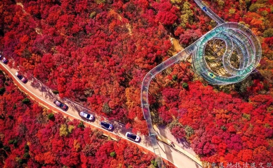 乡村振兴100讲全集,100个经典乡村振兴案例