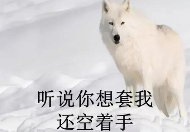 100个空手套白狼简单赚钱方法,互联网空手套白狼赚钱