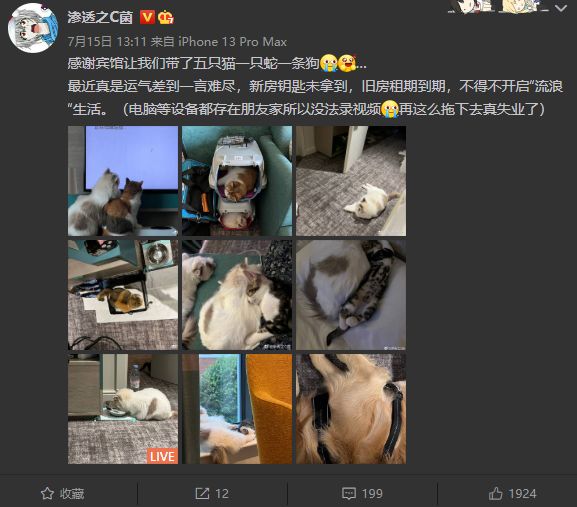 渗透之c君是富二代吗,渗透之c君是富二代么