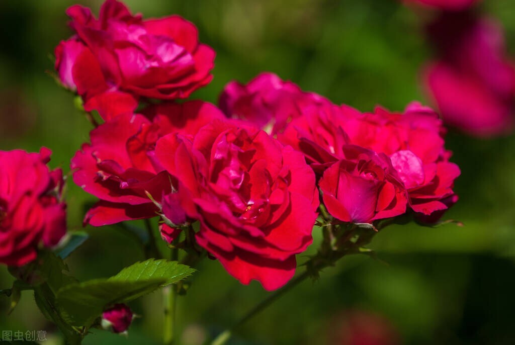 女人允许你做几件事说明她喜欢你,女人对你做这几件事说明她喜欢你