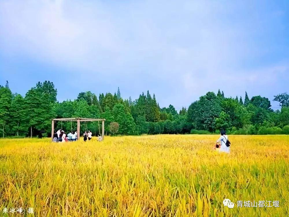 水灵妹旅行攻略,水灵妹旅游景点