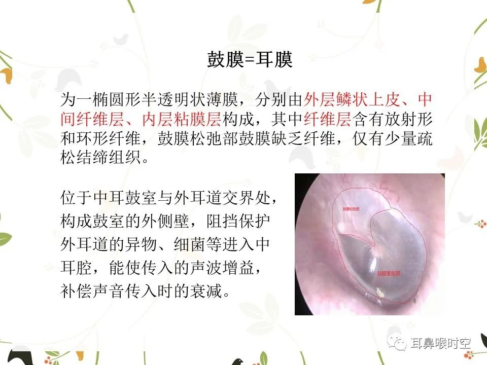 鼓膜可见穿孔,鼓膜穿孔听力下降能恢复吗