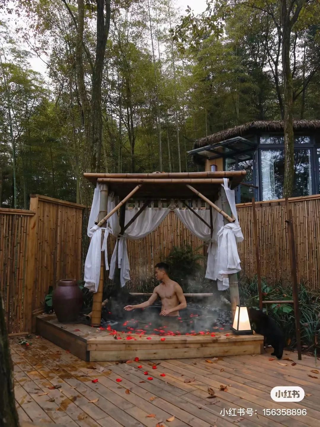 躲进山里民宿,躲在深山老林的民宿