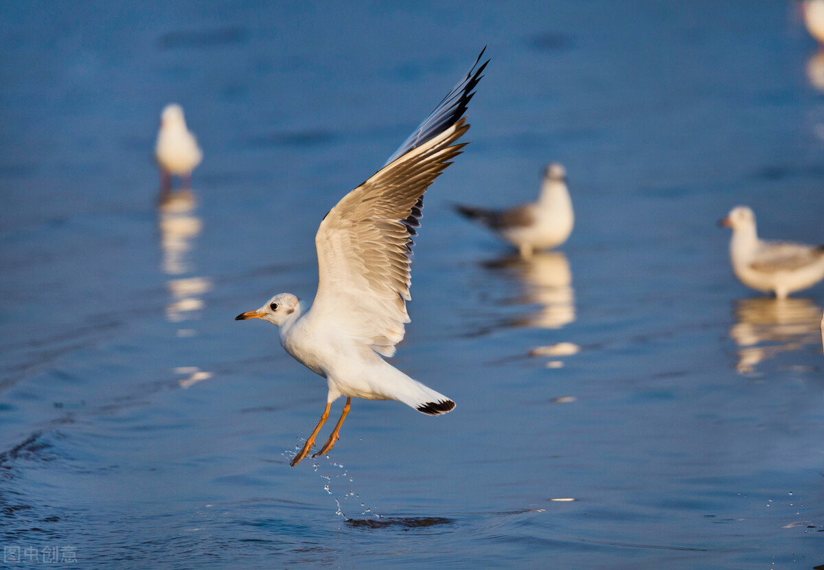 素书助力孩子成长,素书教育孩子