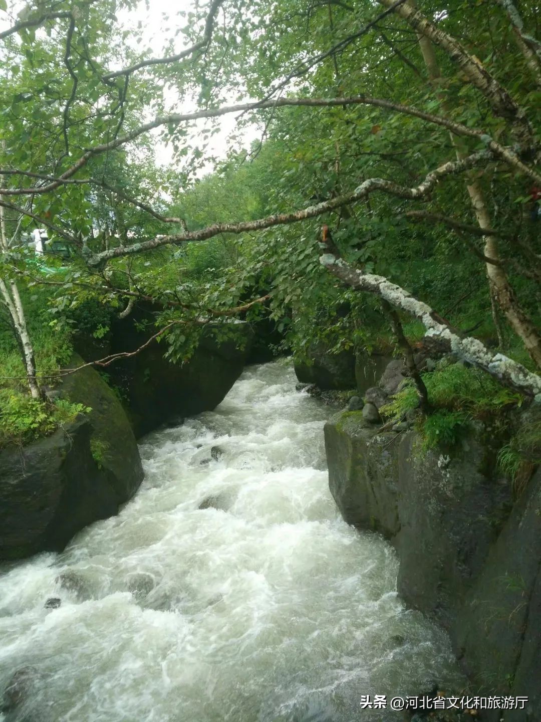 中国夏季避暑胜地排名前十,中国十大避暑胜地第一名你想不到