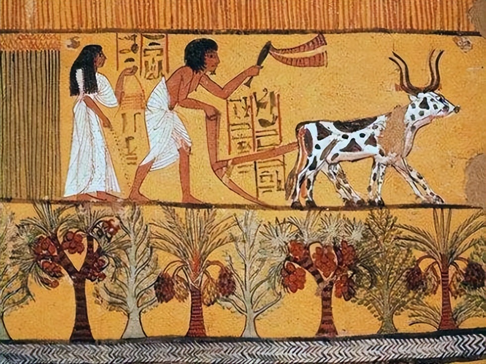 古埃及功绩最卓越的法老,古埃及人的伟大成就