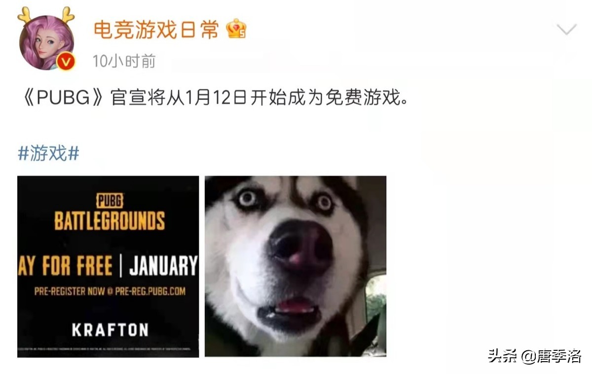 PUBG转免费游戏引发热议,网友的评论真是又好笑,又好哭