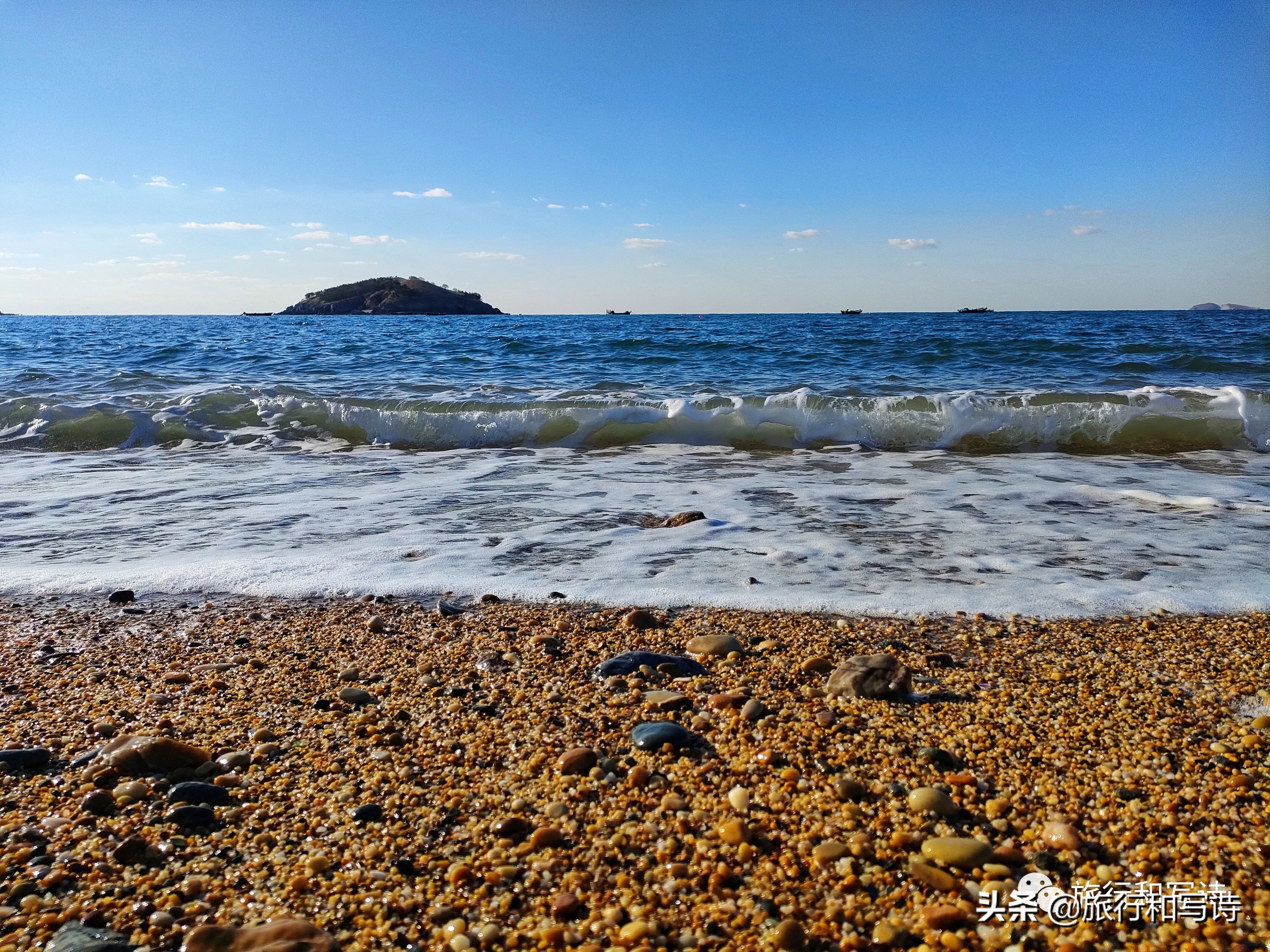 大连的一场寻“燕”之旅