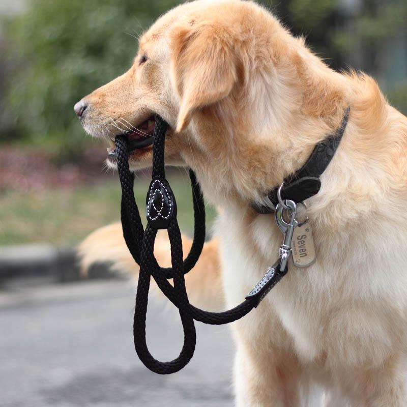 狗狗咬牵引绳行为矫正方法,为什么狗狗喜欢咬裤脚