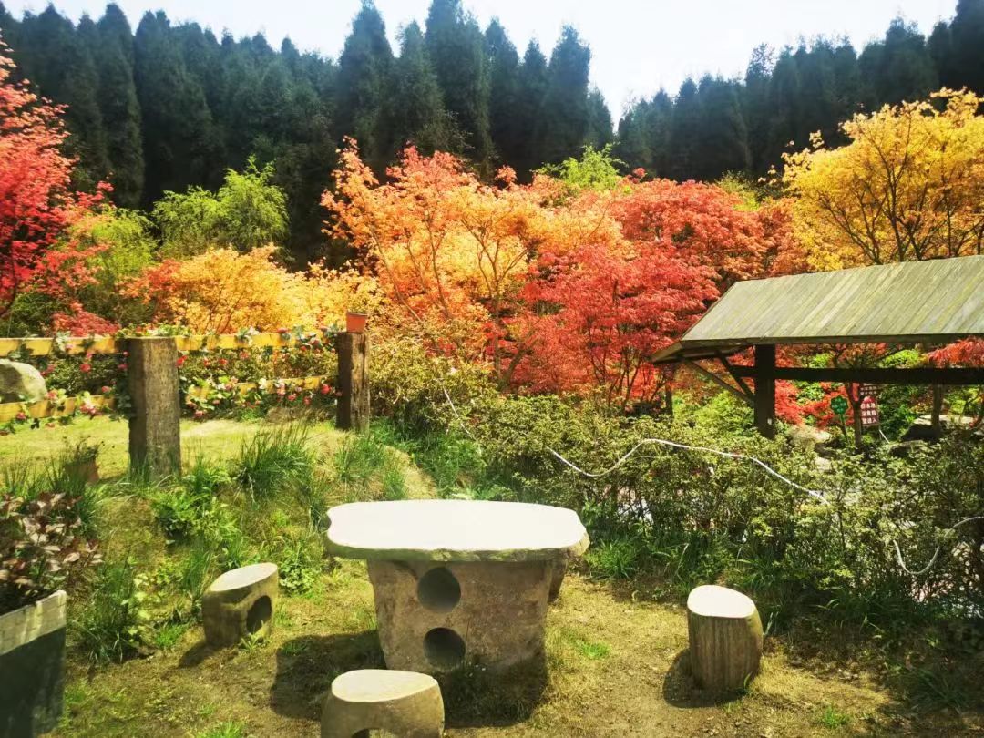 红枫岭有哪些景点,川西红枫岭旅游景点