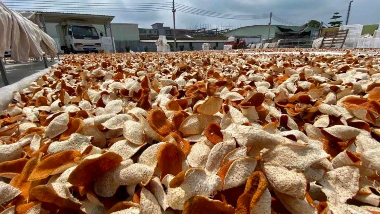 陈皮就是晒干的橘子皮？详解剧中高启强爱喝的陈皮茶