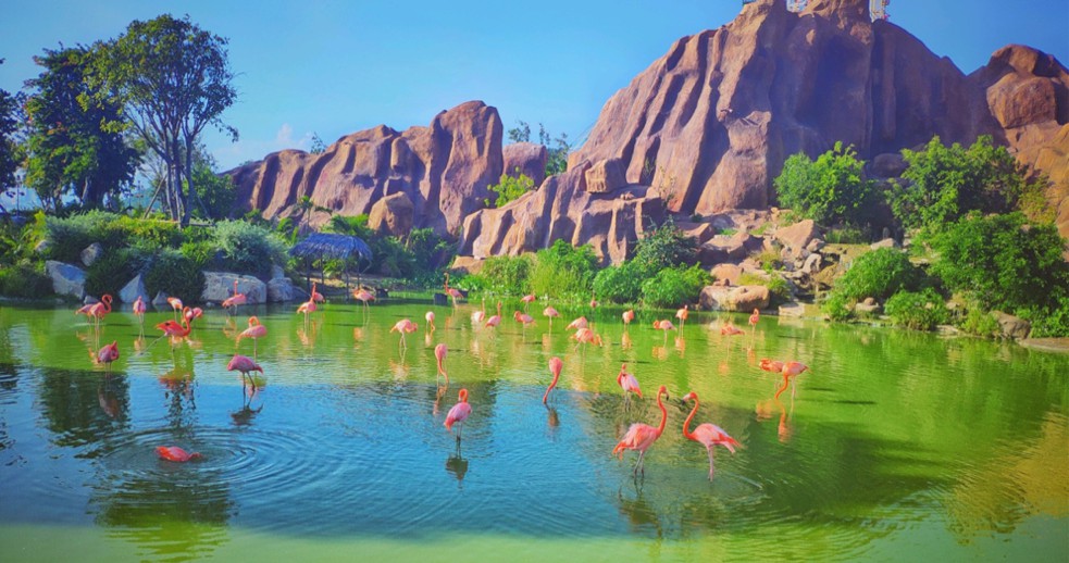 越南实际生活状态,越南生活真实现状街拍