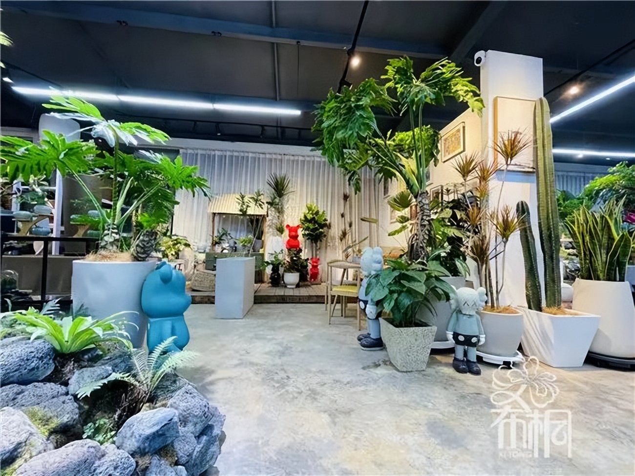 他在花市开了三家“非常规”花店，业绩不凡，成为同行学习的样板