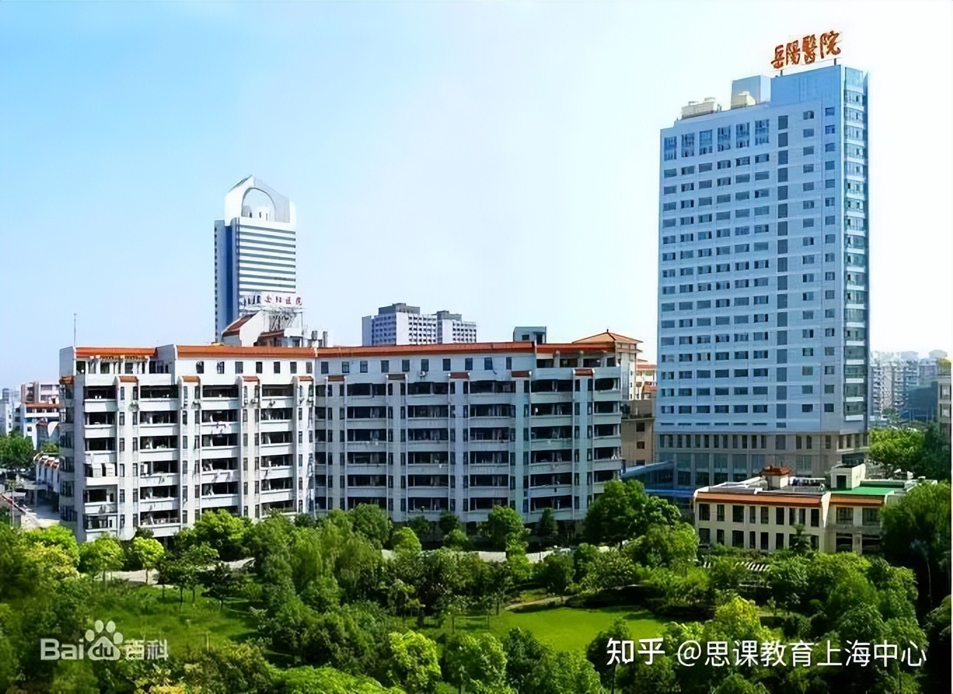 思课综评,第五轮学科评估上海中医药大学