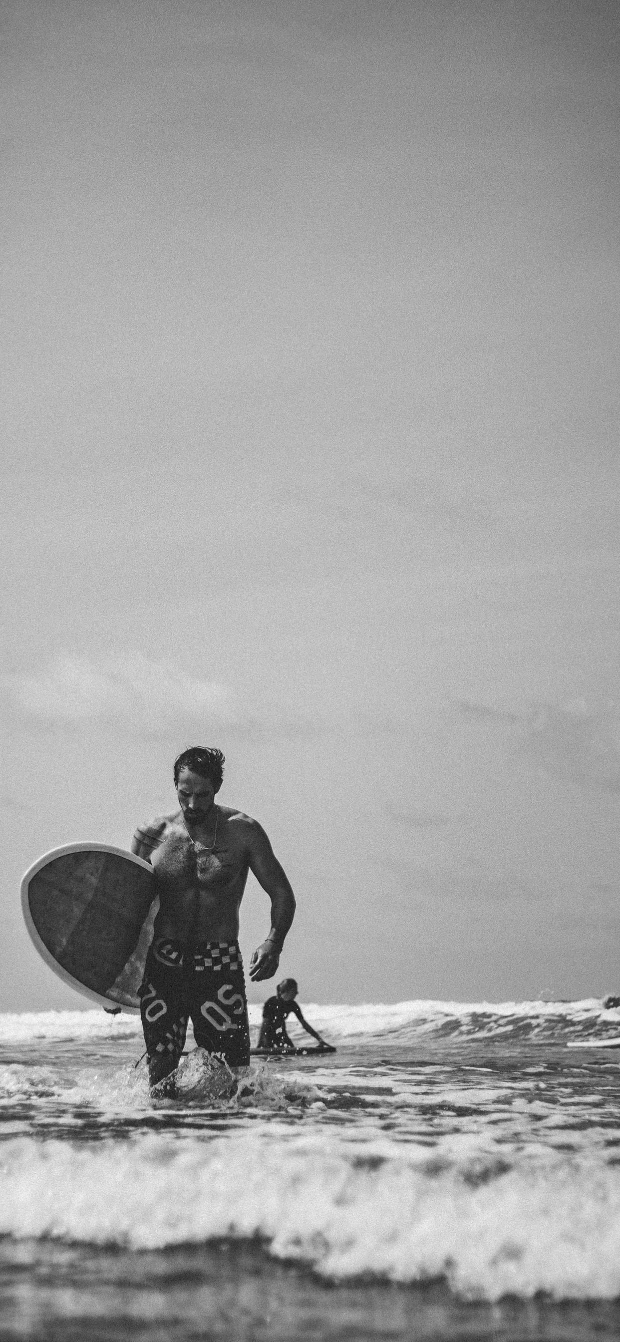 足球狗头壁纸大全,兔耳壁纸高清