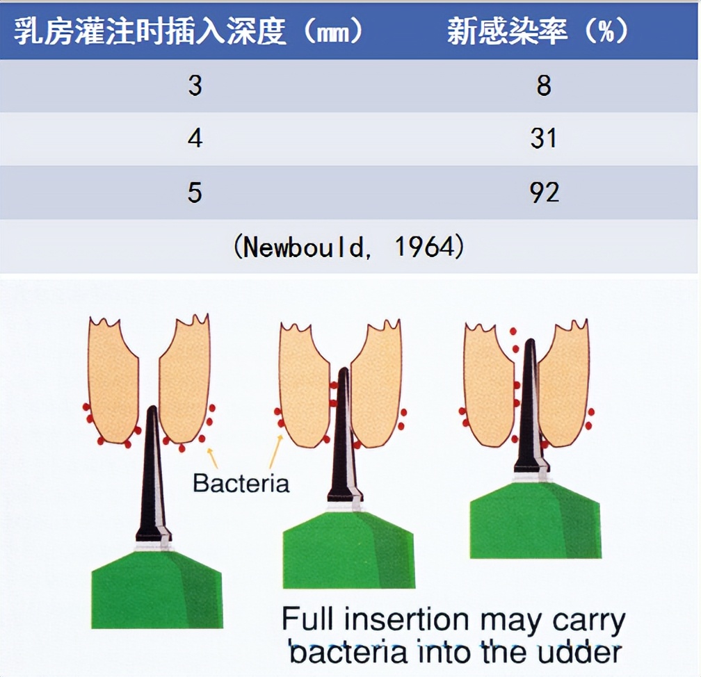 刘昌菊:奶牛子宫炎及乳房炎治疗新方案