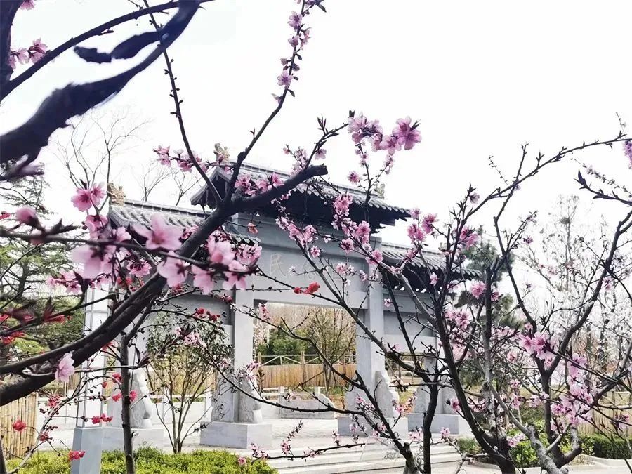 山东省青岛第六中学,山东青岛第六中学