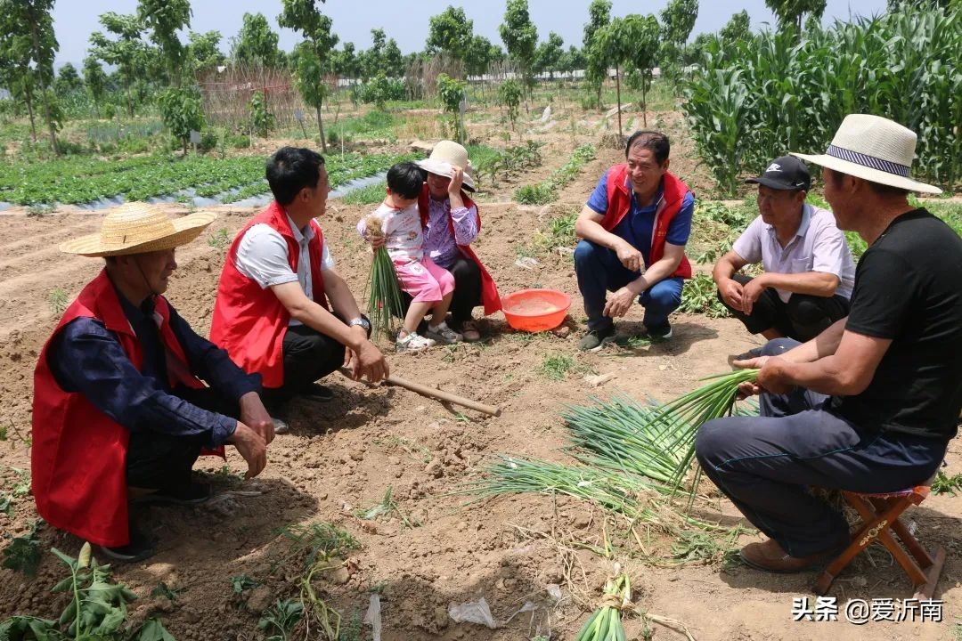沂南铜井新闻最新消息,沂南张庄新闻最新消息