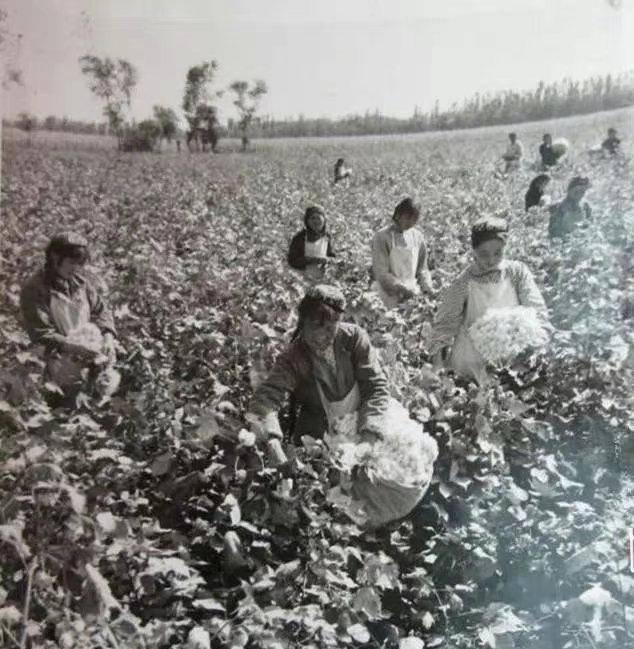 老照片:掠夺伊拉克黄金的美军,与德军合影的波兰*妓军**