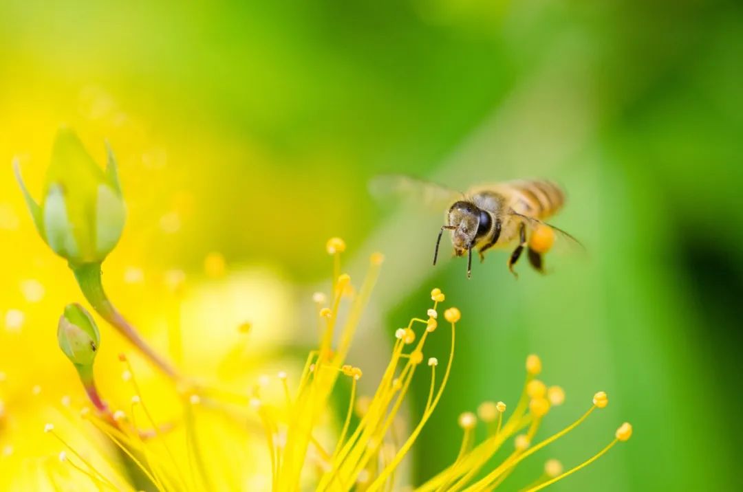 最走心的春天诗句,关于春天的唯美的诗句大全集