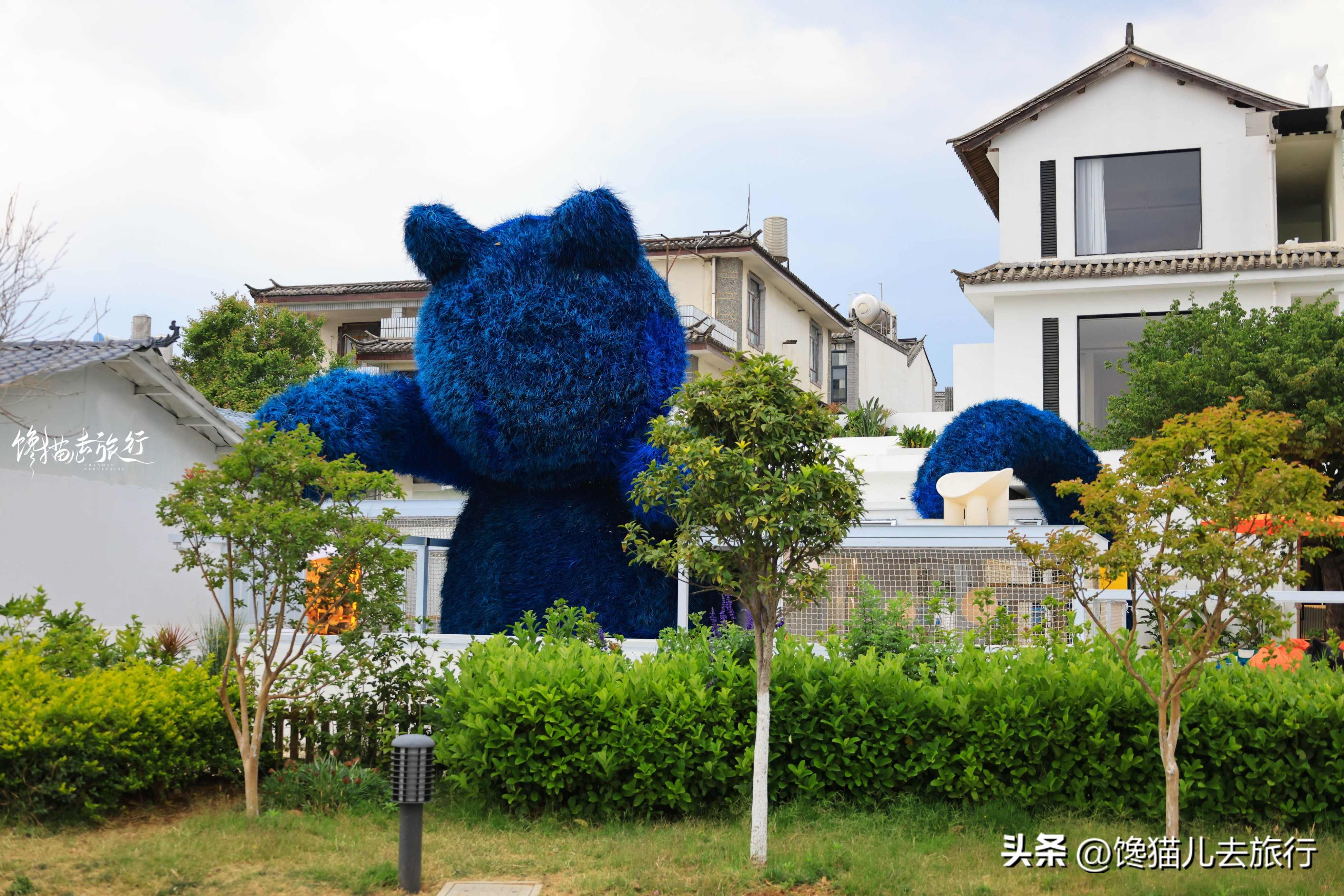 春节期间大理有哪些景点门票免费,大理免费景点一览表