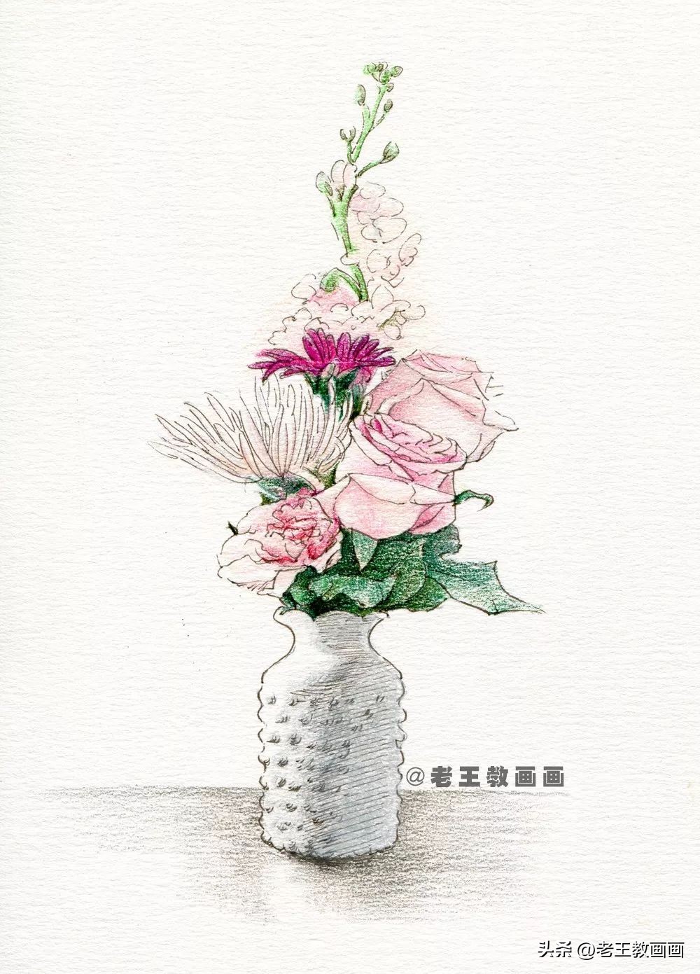 零基础也能学会的彩铅画画,零基础画彩铅画牡丹