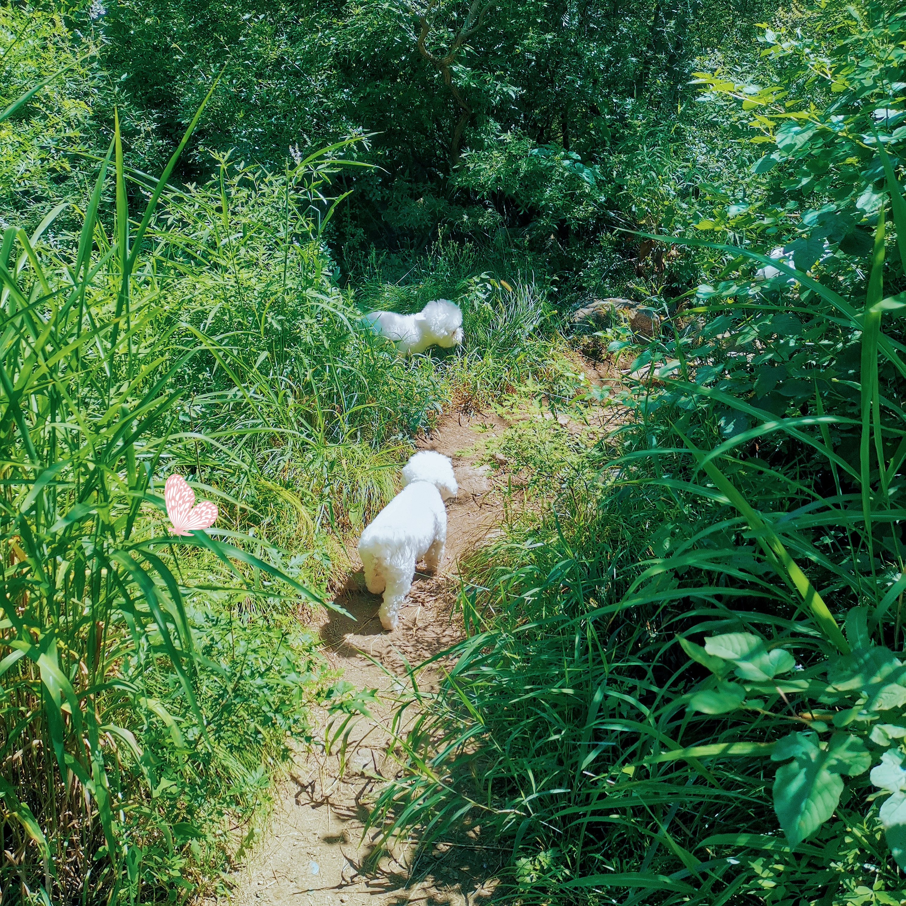 冬季天津户外徒步路线推荐,天津春天亲子徒步旅游路线推荐